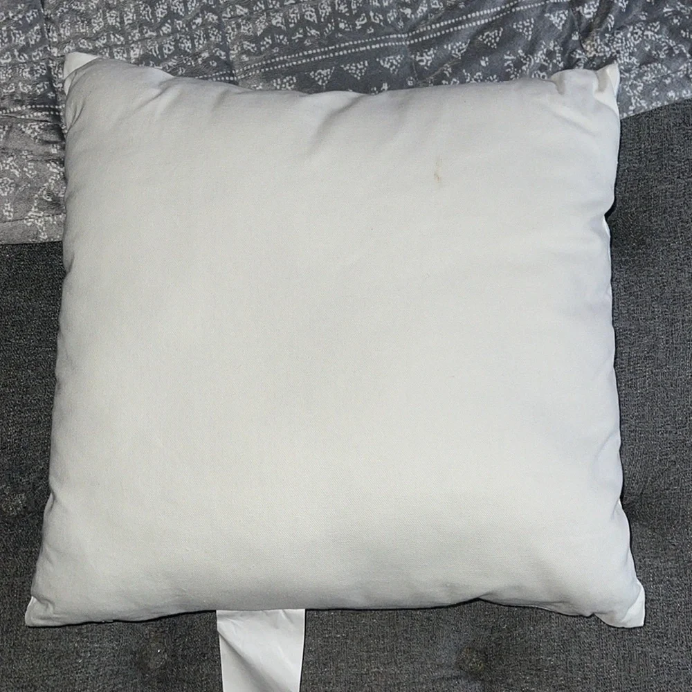 Free** Read description 18”x18” Winter Decor Pillow